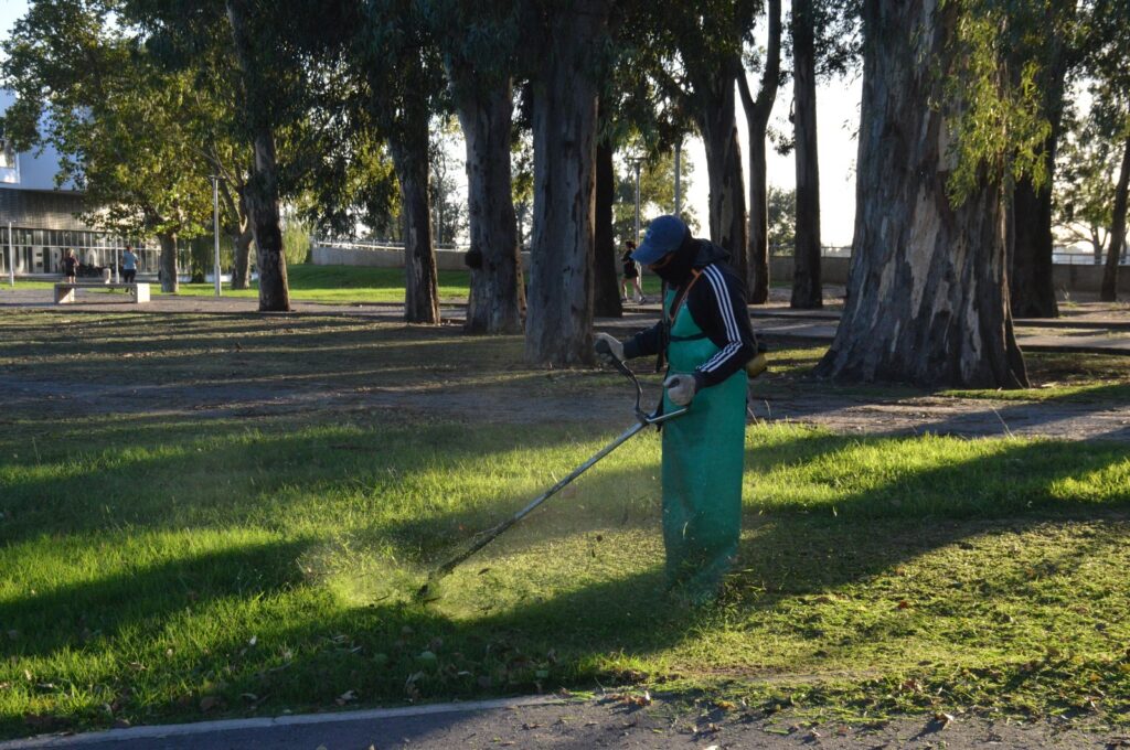 Intenso trabajo municipal en las plazas y paseos