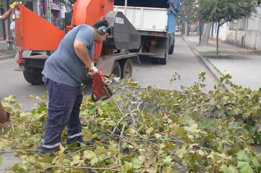 Profundizan tareas de desmalezado y recolección de residuos mayores