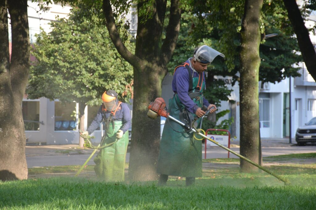 Intervención en plaza Sarmiento y poda en calle Colón