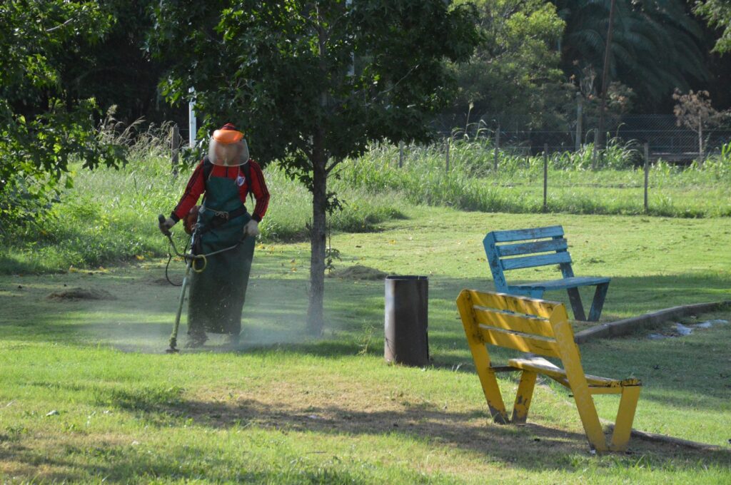 Lunes con tareas de poda y corte de pasto