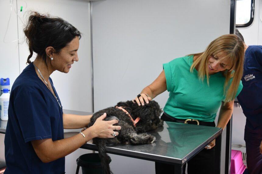 El “Orejas Verdes” llevó sus servicios de salud animal al Ciudad Nueva