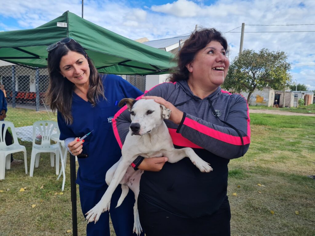 El programa municipal “Orejas Verdes” brindó servicios de salud animal en el barrio Iturbide