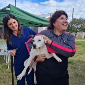 El programa municipal “Orejas Verdes” brindó servicios de salud animal en el barrio Iturbide