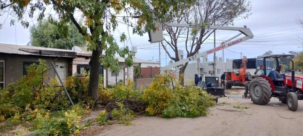 La Dirección de Espacios Públicos inicia la semana con tareas de poda