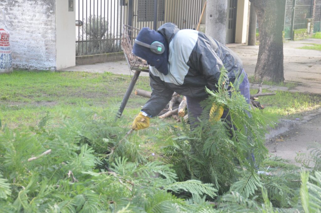 Personal de Espacios Públicos realiza trabajos de poda en distintos puntos de la ciudad