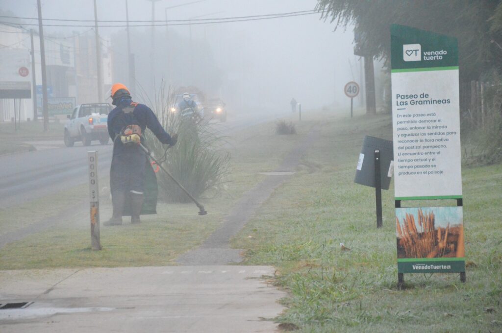 Corte de pasto en avenida Santa Fe y plazas de la ciudad