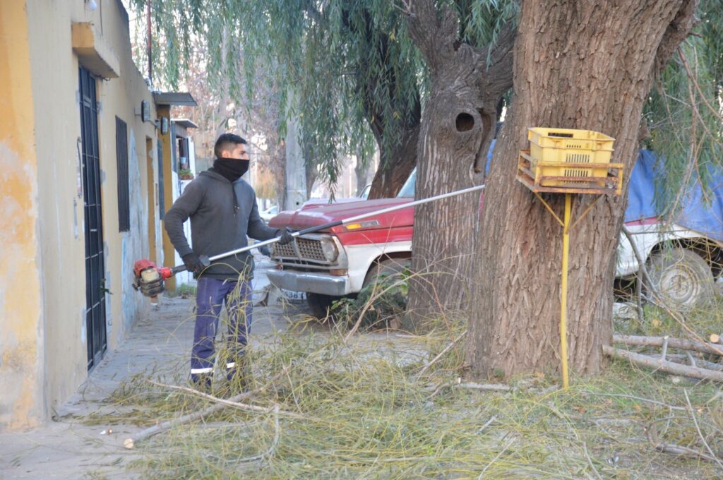 El Municipio refuerza los trabajos de poda y desmalezado en el inicio de la semana