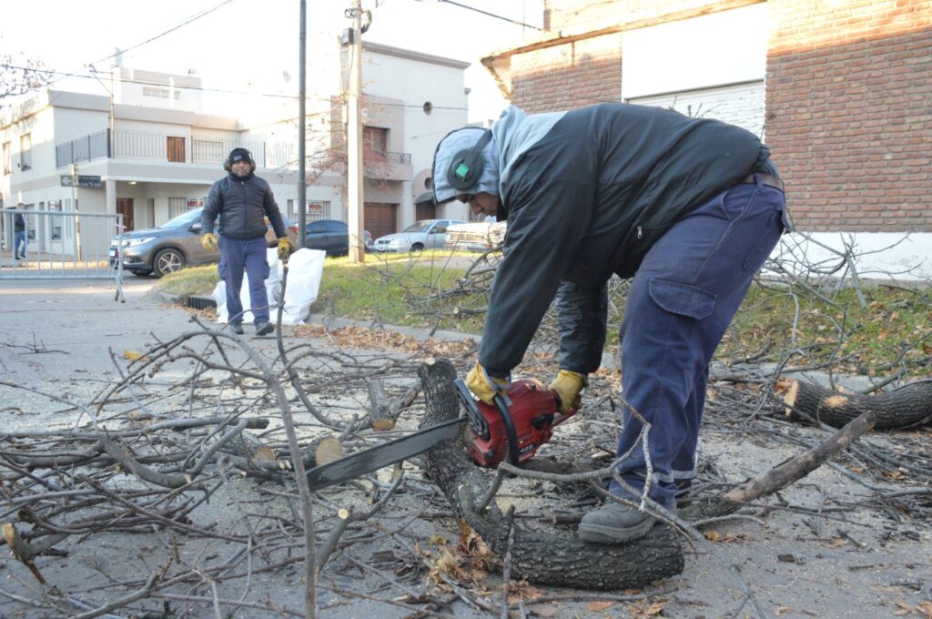 Otoño en Venado: las cuadrillas refuerzan las tareas de poda y limpieza
