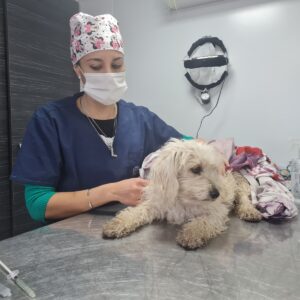 Exitosa jornada del “Orejas Verdes” en el barrio Malvinas Argentinas