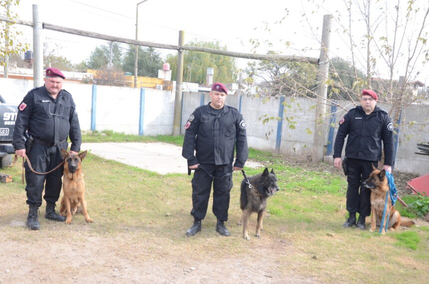 Reconocimiento a la sección canes de la URVIII en el Día Nacional del Perro
