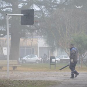 Trabajos de mantenimiento en plazas y poda en altura