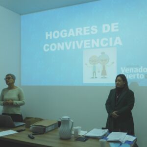 Reunión de trabajo de áreas de control con propietarios de hogares de convivencia