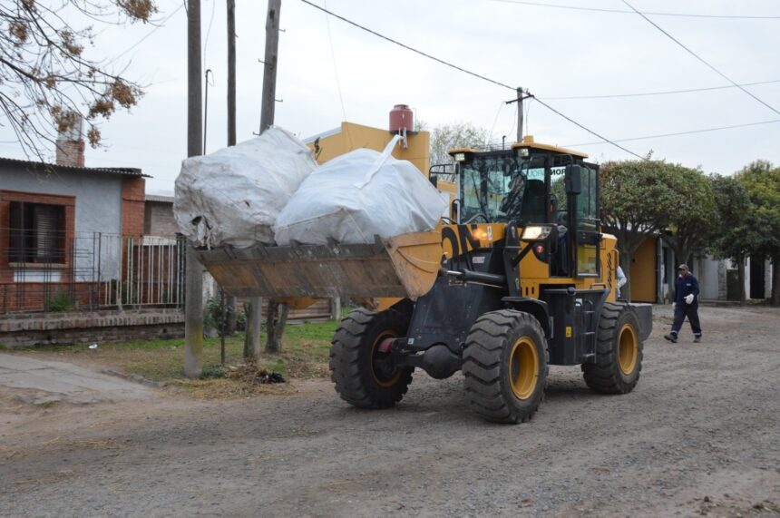 Por una ciudad más limpia: Recogen desperdicios mayores en barrio Rivadavia