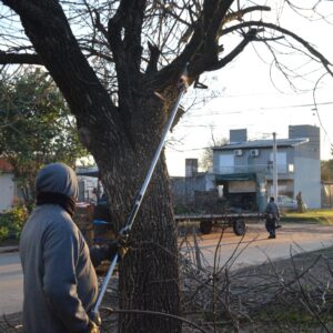 Cuadrillas municipales realizan tareas de poda y corte de pasto en calles y espacios verdes