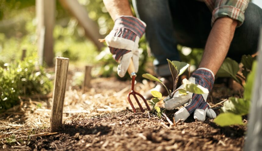 Conecta empleo: inscripción abierta para el curso gratuito “Auxiliar de Jardinería”