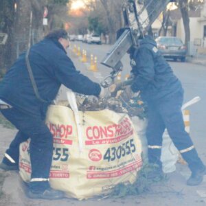 Recolección de restos verdes y de obra- Zona 3