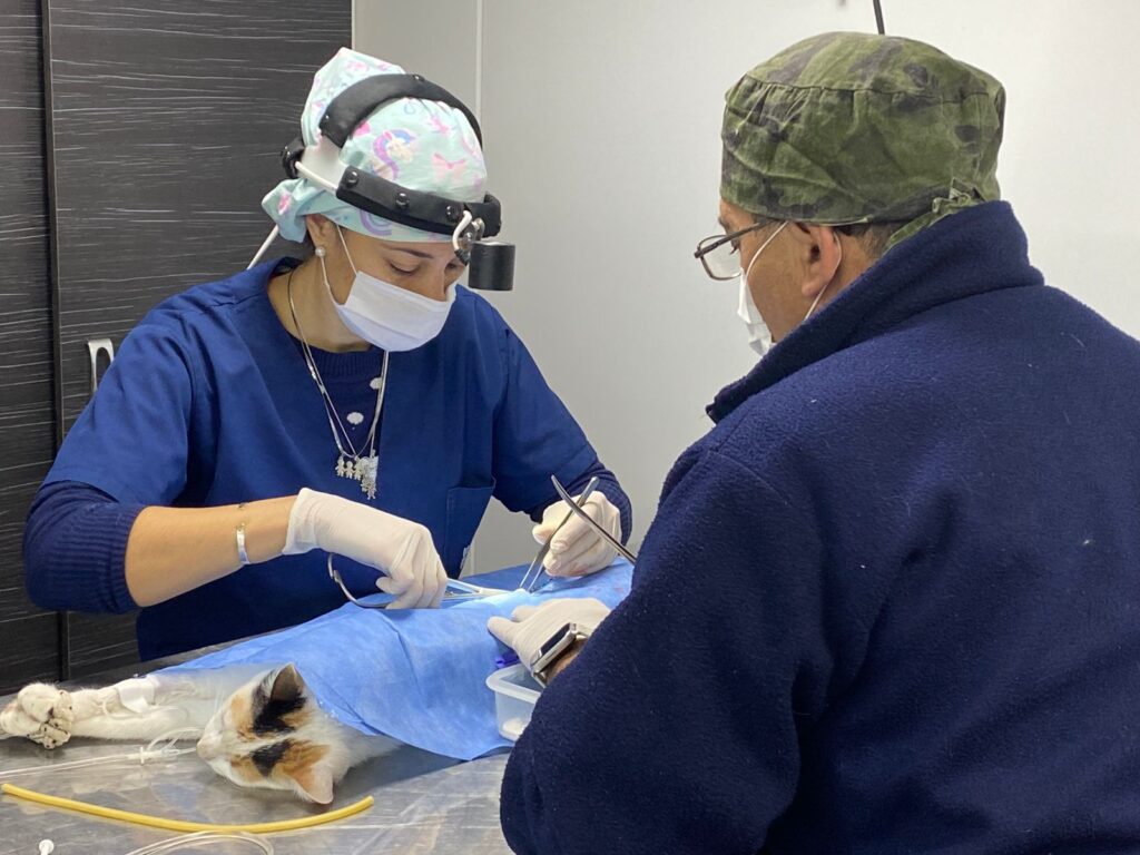 El Programa de Salud Animal “Orejas Verdes” cerró junio en barrio El Cruce