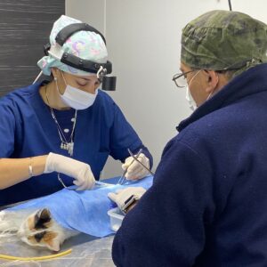 El Programa de Salud Animal “Orejas Verdes” cerró junio en barrio El Cruce