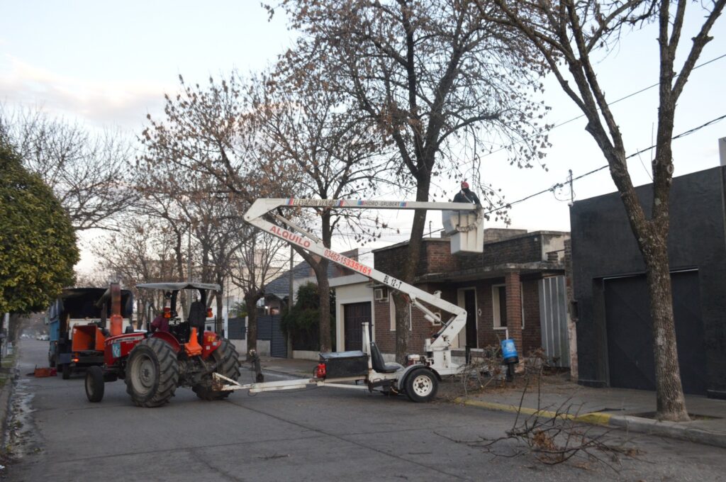 Poda, corte de pasto y limpieza en distintos barrios