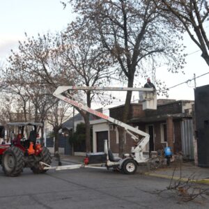 Poda, corte de pasto y limpieza en distintos barrios