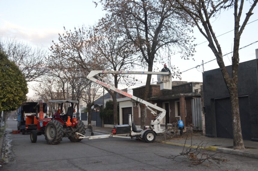 Poda, corte de pasto y limpieza en distintos barrios