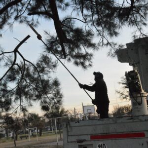 Los equipos municipales refuerzan el trabajo de mantenimiento en plazas y espacios públicos