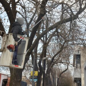 Poda, desmalezado y limpieza en la agenda diaria de las cuadrillas