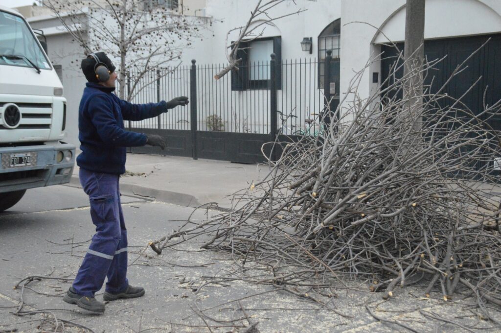 Los equipos municipales refuerzan las tareas de poda, desmalezado y limpieza