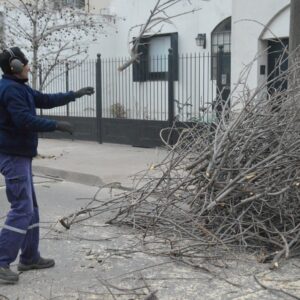Los equipos municipales refuerzan las tareas de poda, desmalezado y limpieza