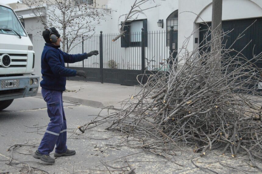 Los equipos municipales refuerzan las tareas de poda, desmalezado y limpieza
