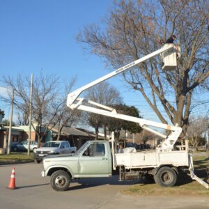 Personal de Espacios Públicos realiza poda en altura en zona Centro y barrio Los Robles