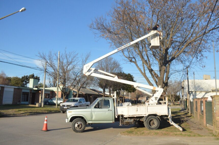 Personal de Espacios Públicos realiza poda en altura en zona Centro y barrio Los Robles