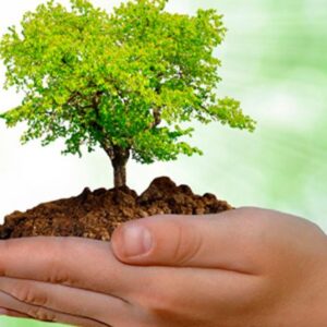 Actividades del Gobierno Municipal e instituciones en la Semana Nacional del Árbol