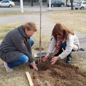 Con plantaciones en Hogar Santa Ángela y Prado de María, se celebró el Día Nacional del Árbol