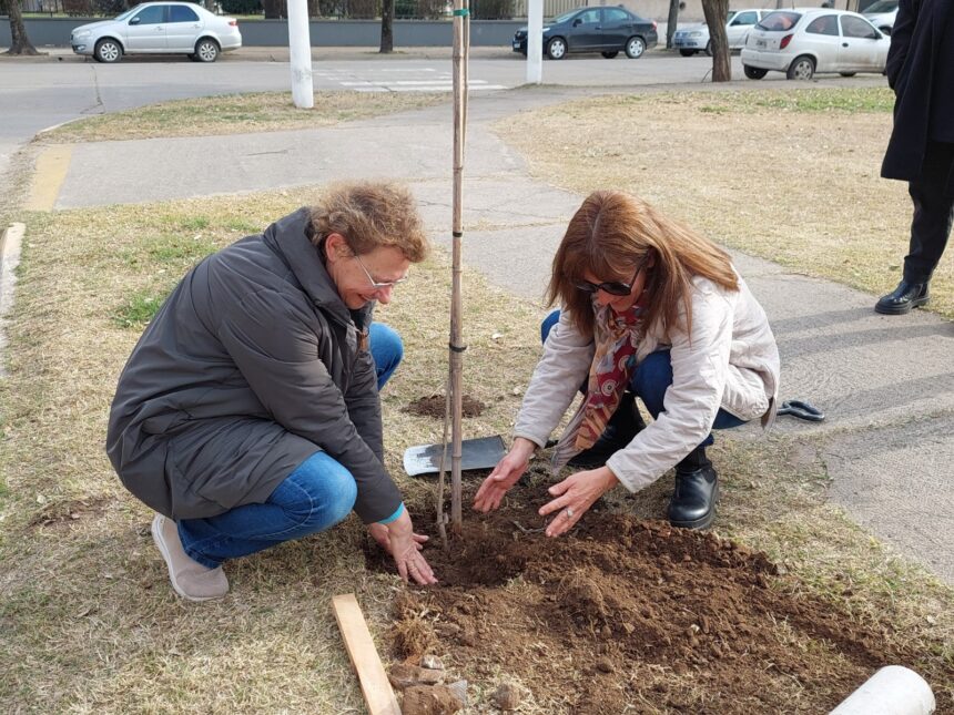 Con plantaciones en Hogar Santa Ángela y Prado de María, se celebró el Día Nacional del Árbol