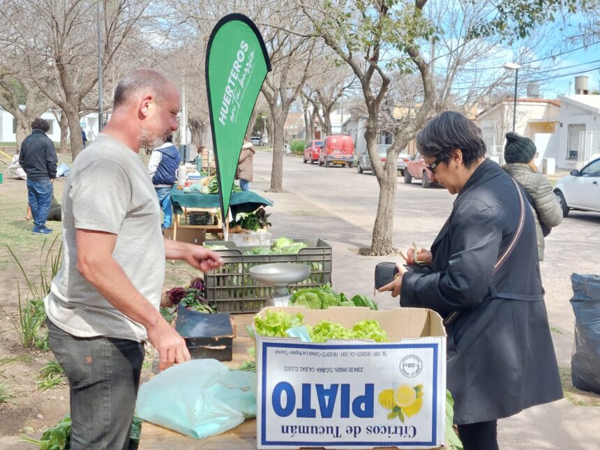 El mercado de frutas y verduras locales se traslada a la plaza De la Democracia