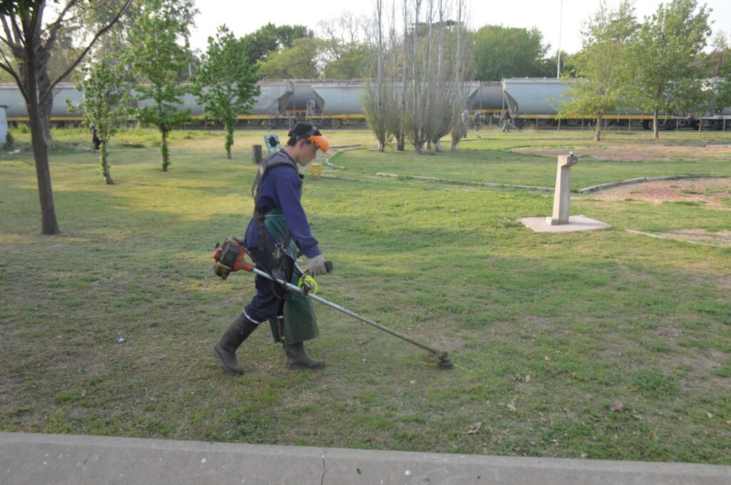 Cuadrillas municipales intensifican las tareas de poda y desmalezado