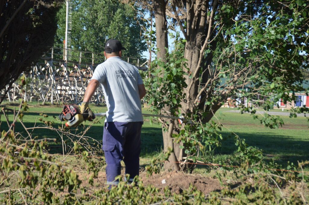 Los equipos municipales intensifican las tareas de mantenimiento en plazas y paseos públicos
