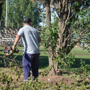 Los equipos municipales intensifican las tareas de mantenimiento en plazas y paseos públicos