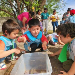 Más de 400 inscriptos para el ciclo lectivo 2025 de los ocho Jardines Materno Infantiles Municipales