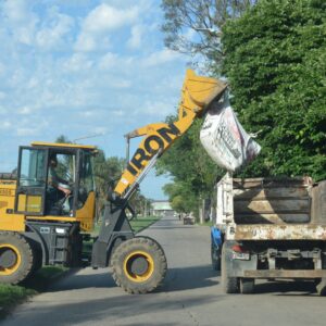 Personal municipal refuerza las tareas de poda, desmalezado y limpieza