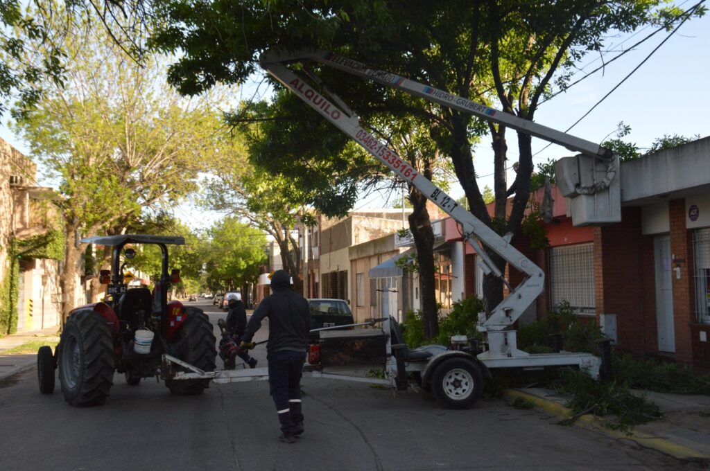 Personal municipal realiza tareas de poda y mantenimiento