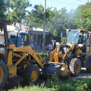 Equipos municipales realizan tareas de poda, desmalezado y limpieza