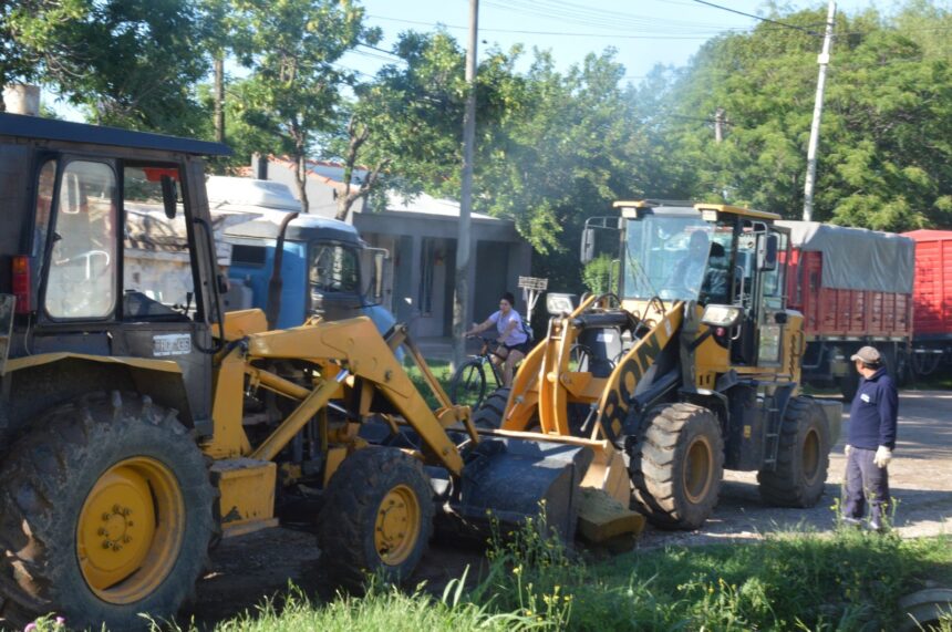 Equipos municipales realizan tareas de poda, desmalezado y limpieza