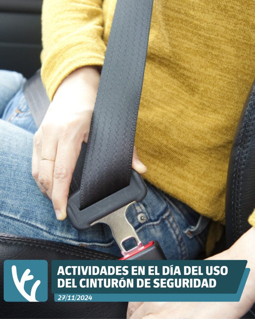Actividades de concientización en el Día del Uso del Cinturón de Seguridad