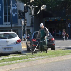 Cuadrillas municipales intensifican las tareas de mantenimiento de áreas verdes
