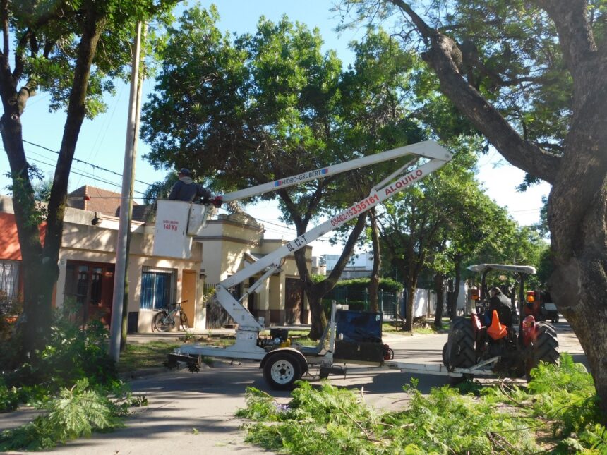 Efectúan poda en altura en distintos barrios de la ciudad
