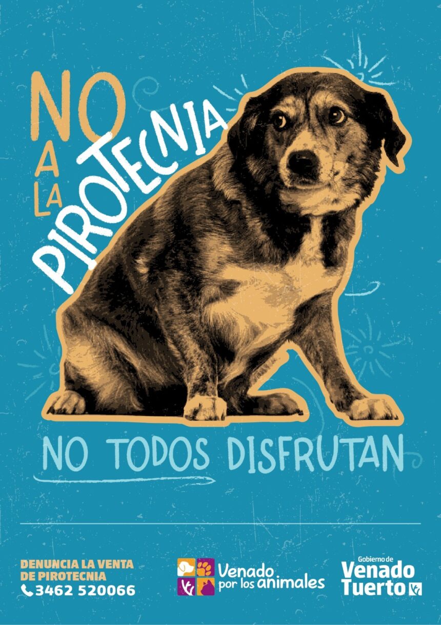 “No todos disfrutan”: Venado Tuerto le dice “No a la Pirotecnia”