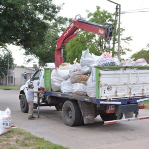 Recolección de restos verdes y de obra- Zona 4