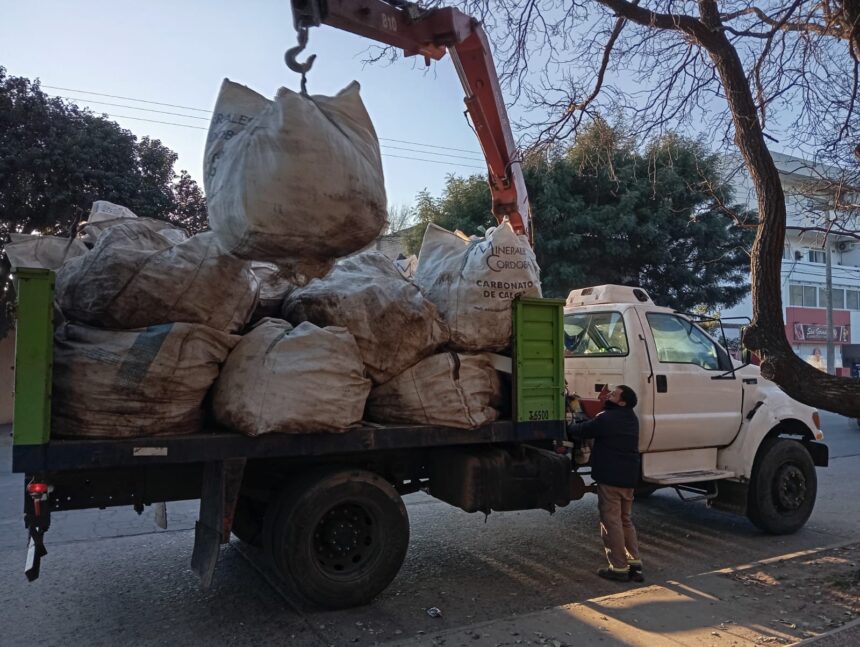 Recolección de restos verdes y de obra- Zona 3